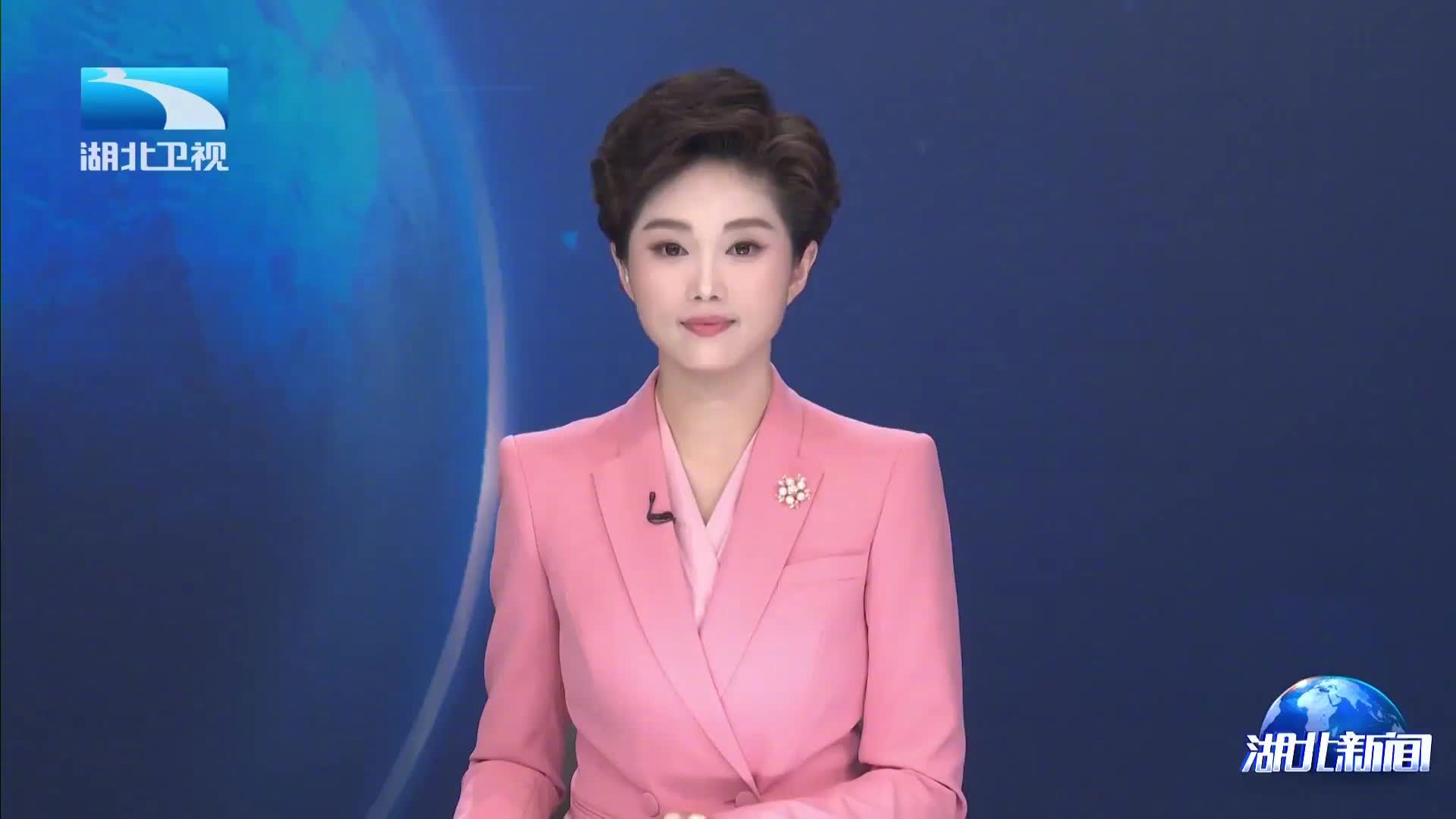 全球首例！我国科学家发布微米级脑机接口多模态三维图谱