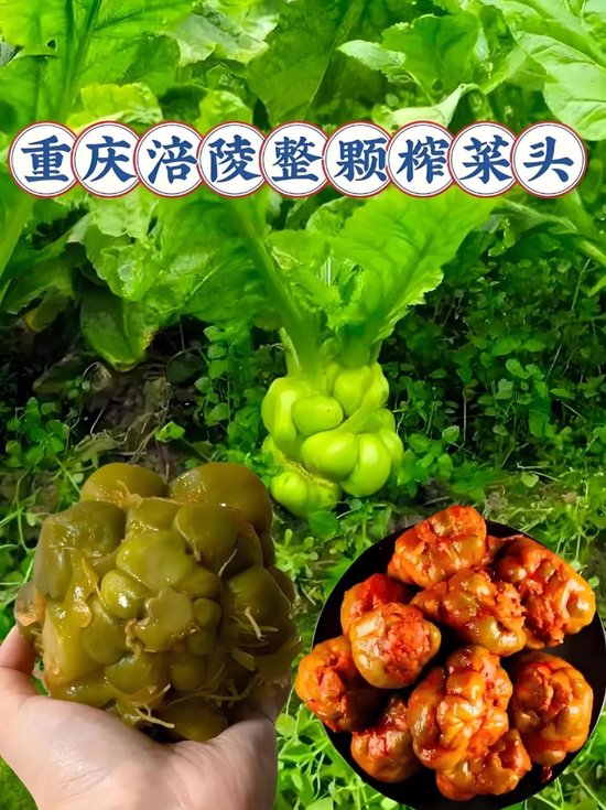 重庆食品带头大哥：连续两年业绩不增长，巴渝食企困境何解？