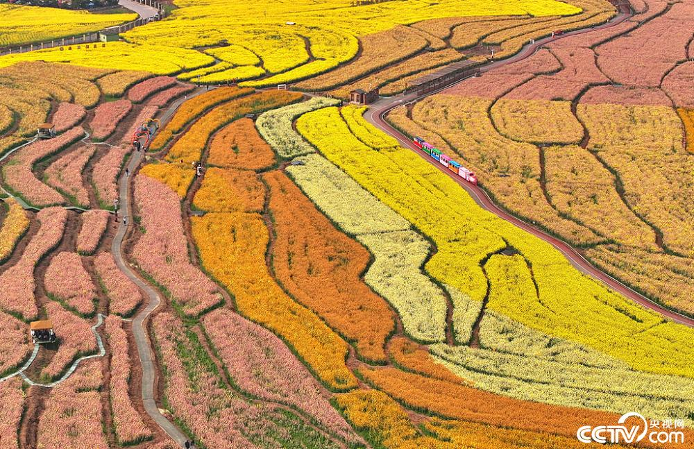 【8点见】深圳北地铁站发生人员踩踏？官方回应