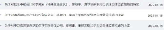 海诺尔IPO项目保荐履职不到位 申万宏源及两名保代被处分