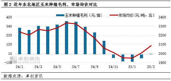 “玉”你同行：一季度东北玉米价格持续攀升，新季种植面积如何？
