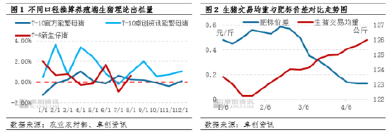 生猪：持续增重叠加二育滚动补栏 供应后移是否会形成“堰塞湖”